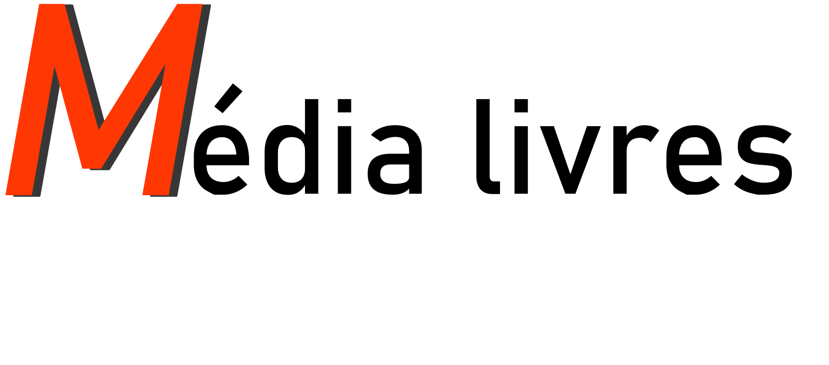 Partenaire 2